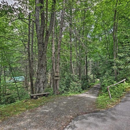 Creekside Cabin With Deck In Pisgah Forest! Barnardsville 외부 사진