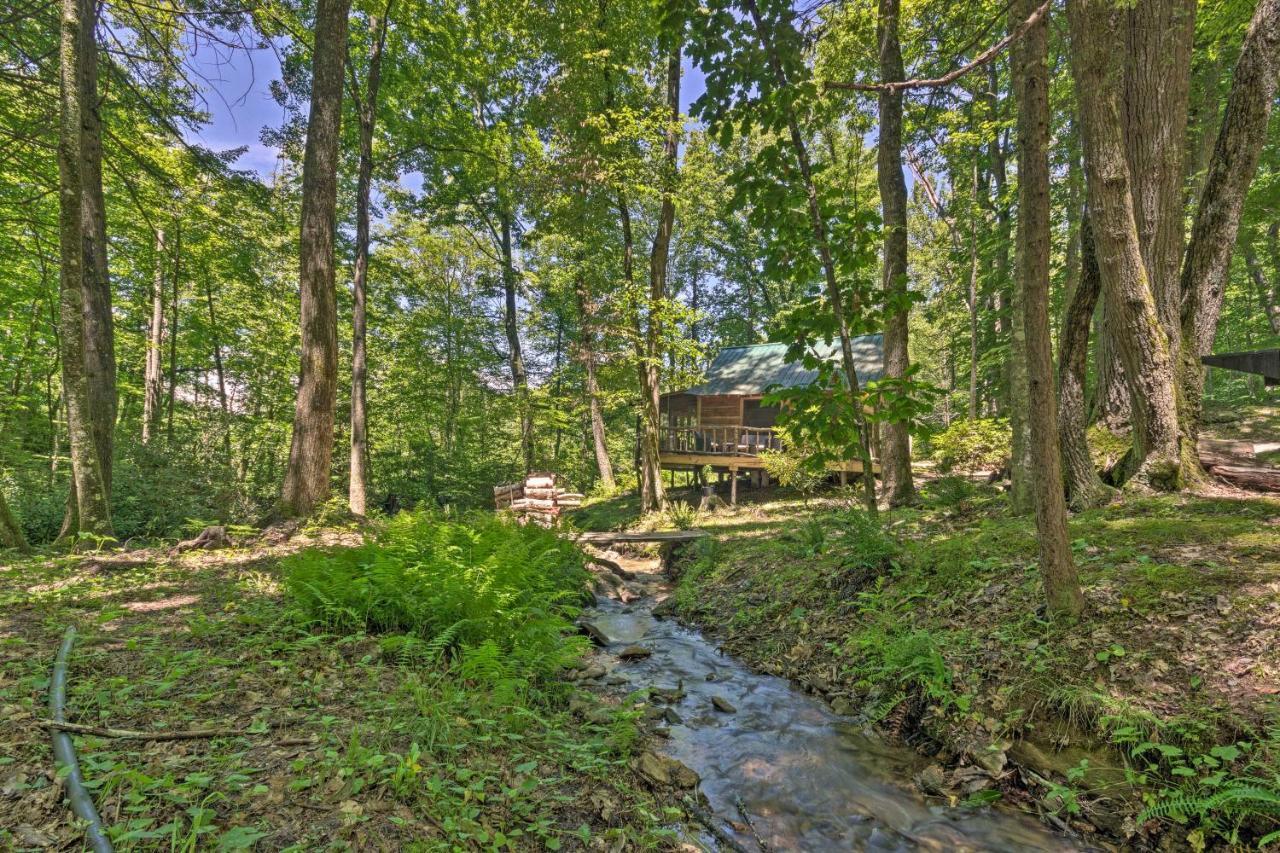Creekside Cabin With Deck In Pisgah Forest! Barnardsville 외부 사진
