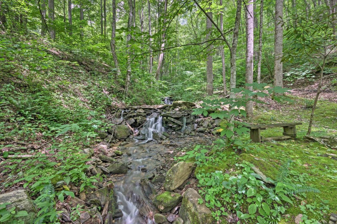 Creekside Cabin With Deck In Pisgah Forest! Barnardsville 외부 사진